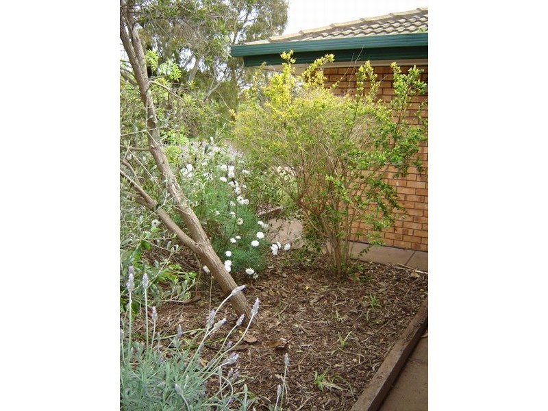 11 Main South Road, Normanville SA 5204