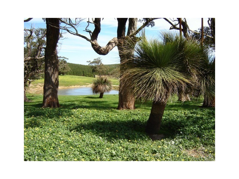 Lot 1545 via Forest Rd, Second Valley SA 5204