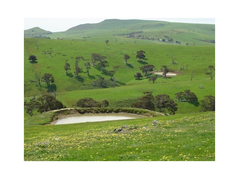 Lot 1545 via Forest Rd, Second Valley SA 5204