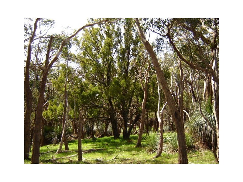 Lot 1545 via Forest Rd, Second Valley SA 5204