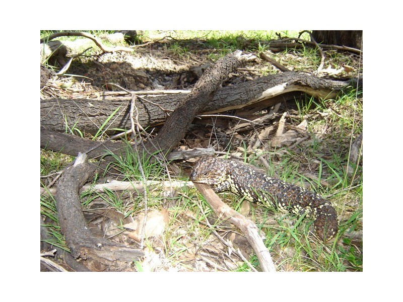 Lot 1545 via Forest Rd, Second Valley SA 5204