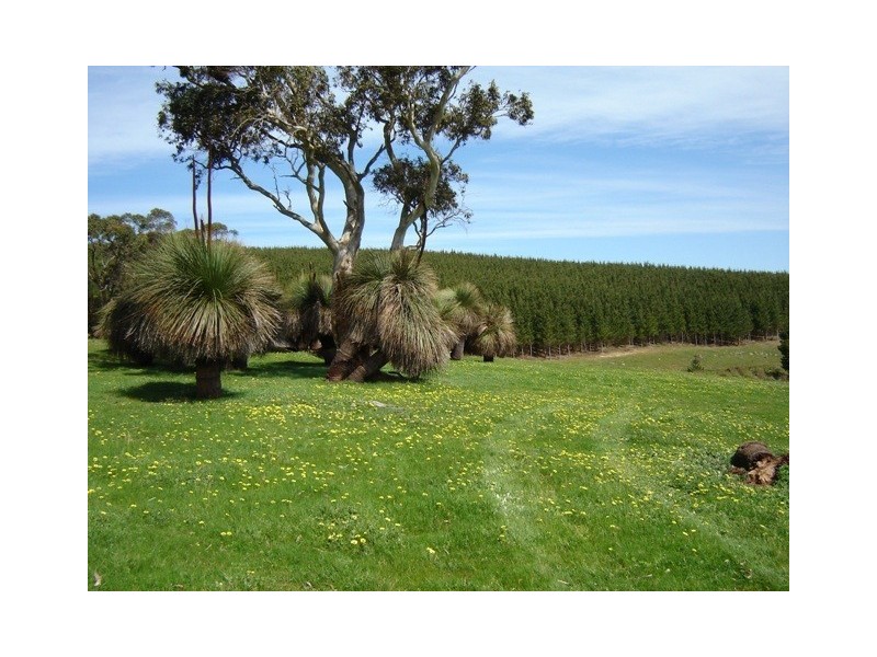 Lot 1545 via Forest Rd, Second Valley SA 5204