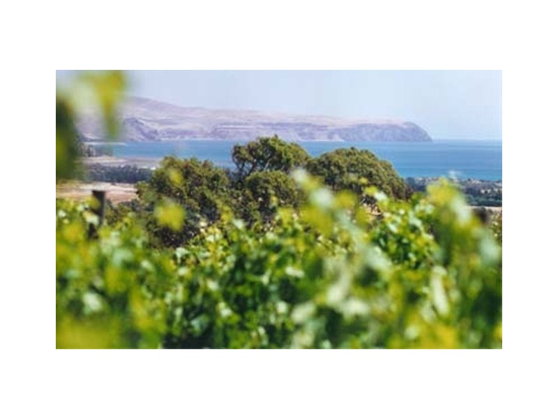 Lot 1 Martin Road, Yankalilla SA 5203