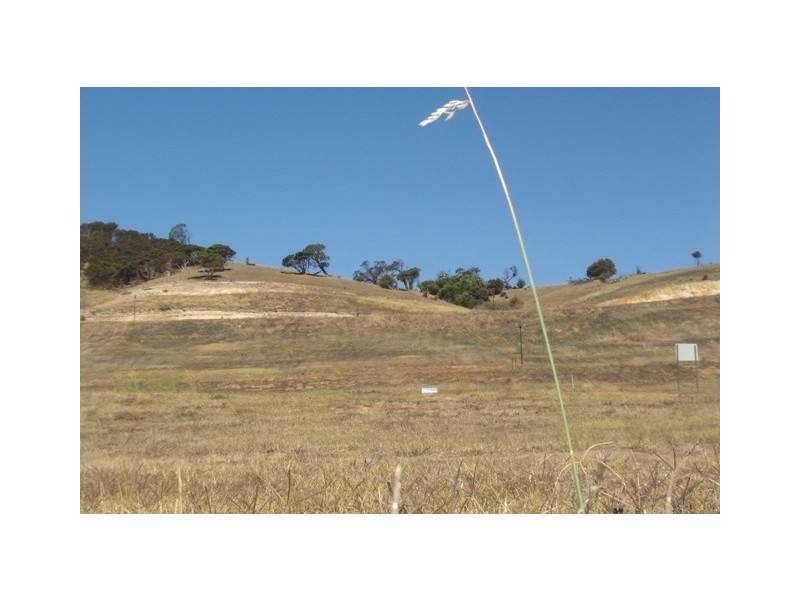 Lot 65 Troon Drive, Normanville SA 5204