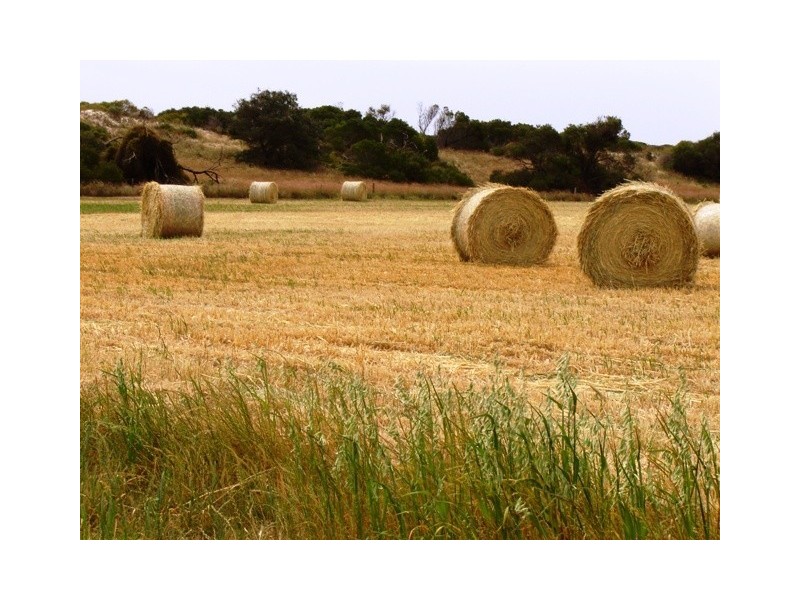 9 Dune Court, Normanville SA 5204