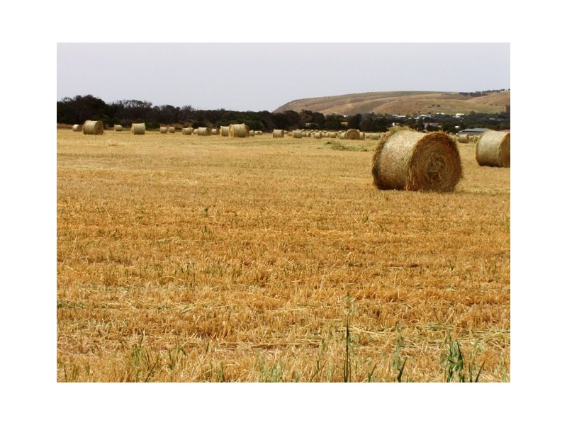 9 Dune Court, Normanville SA 5204