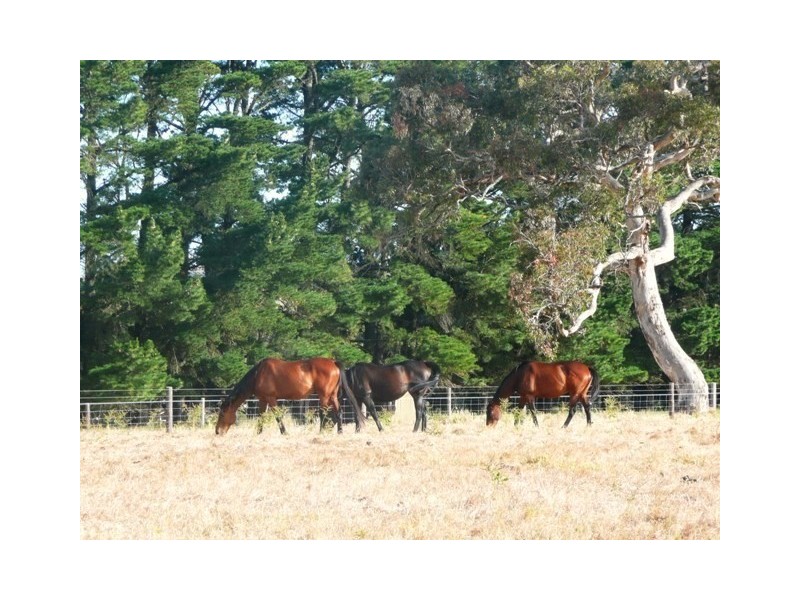 Lot 617 Range Road, Willunga SA 5172