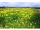 Lot 39 Nereus Drive, Bungala Fields, Normanville SA 5204