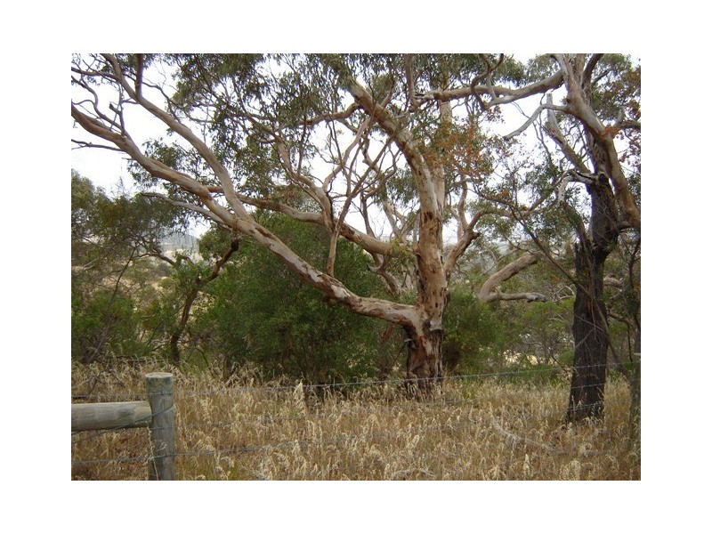 Lot 14 Jervois Road, Yankalilla SA 5203