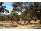 Lot 100 Woodvale Road, Yankalilla SA 5203