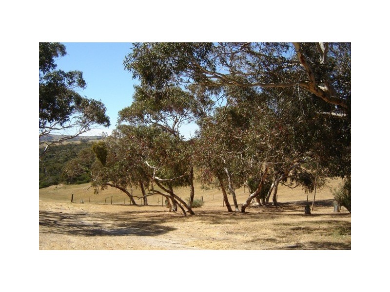 Lot 100 Woodvale Road, Yankalilla SA 5203