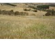 Lot 100 Woodvale Road, Yankalilla SA 5203
