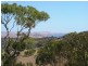 Lot 413 Wattle Flat Road, Yankalilla SA 5203
