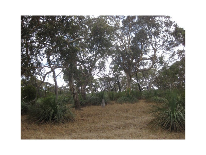 1 & 1461 No Where Else Road, Delamere SA 5204