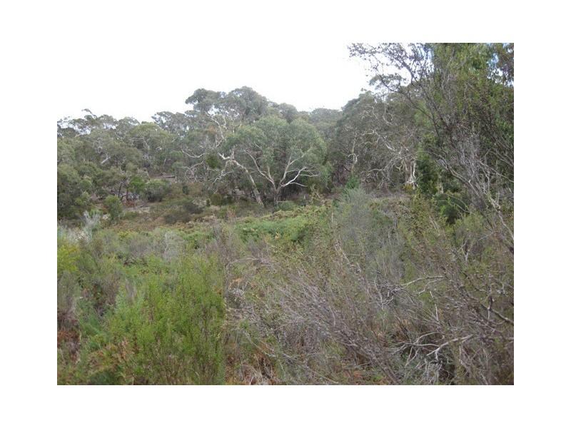1 & 1461 No Where Else Road, Delamere SA 5204