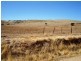 2/16 Brown Road, Carrickalinga SA 5204