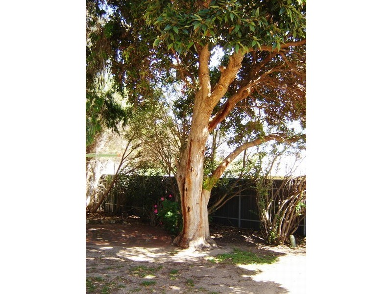 13 Lewis Road, Carrickalinga SA 5204