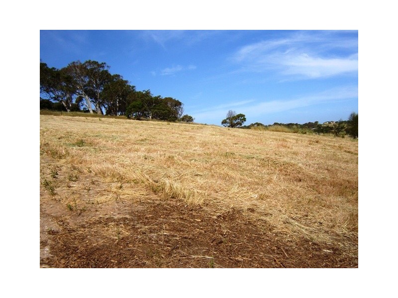 16 Mitchell Heights, Normanville SA 5204