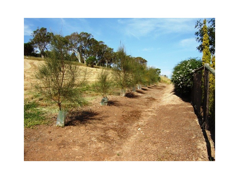 16 Mitchell Heights, Normanville SA 5204