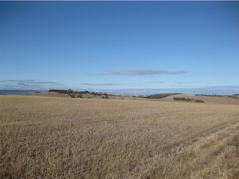 Lot 532 Whitelaw Road, Carrickalinga SA 5204
