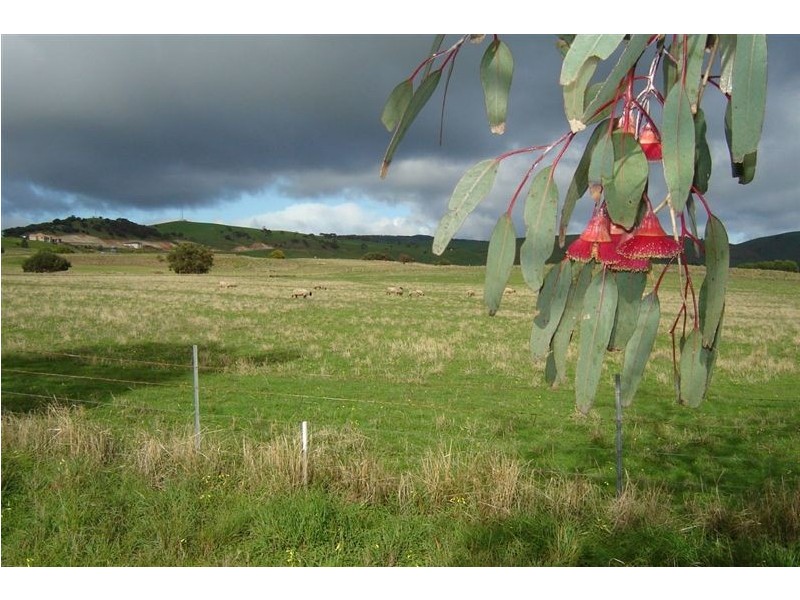 Lot 107 Henry Court, Normanville SA 5204