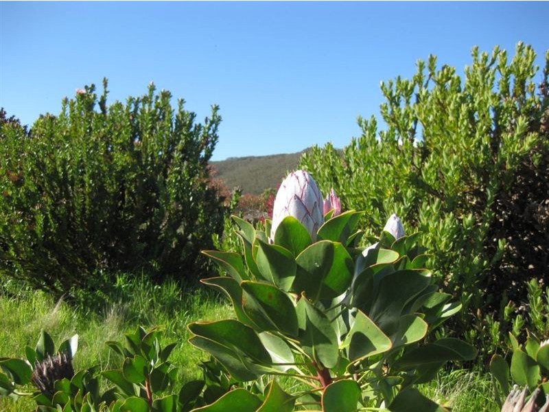 Lot 22 Nunn Road, Myponga SA 5202