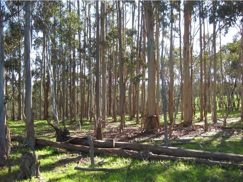 Lot 22 Nunn Road, Myponga SA 5202