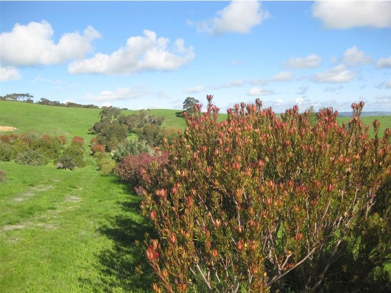 Lot 22 Nunn Road, Myponga SA 5202