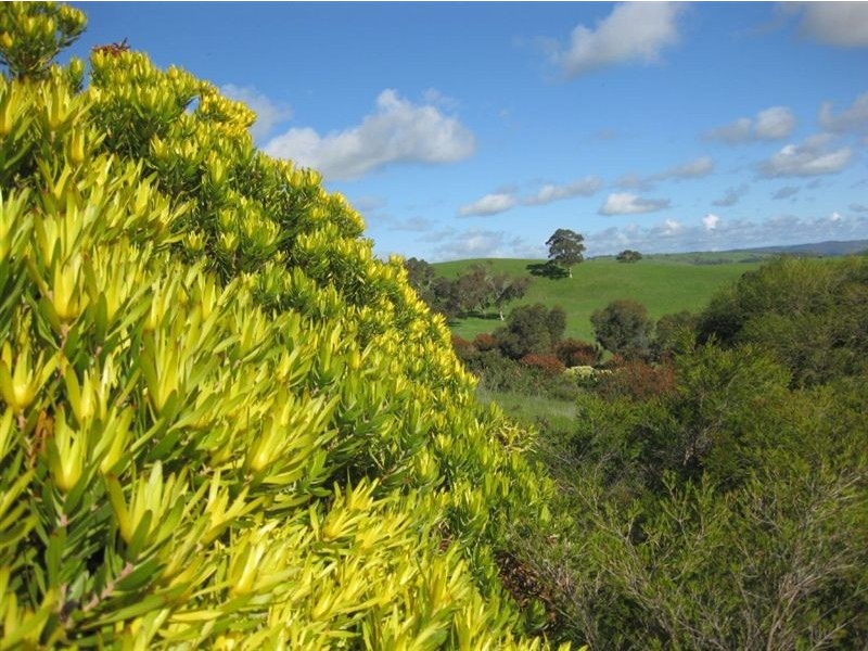 Lot 22 Nunn Road, Myponga SA 5202