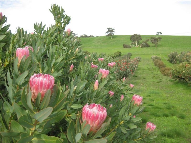 Lot 22 Nunn Road, Myponga SA 5202