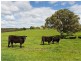 “Unalla” Wellington Road, Wistow SA 5251