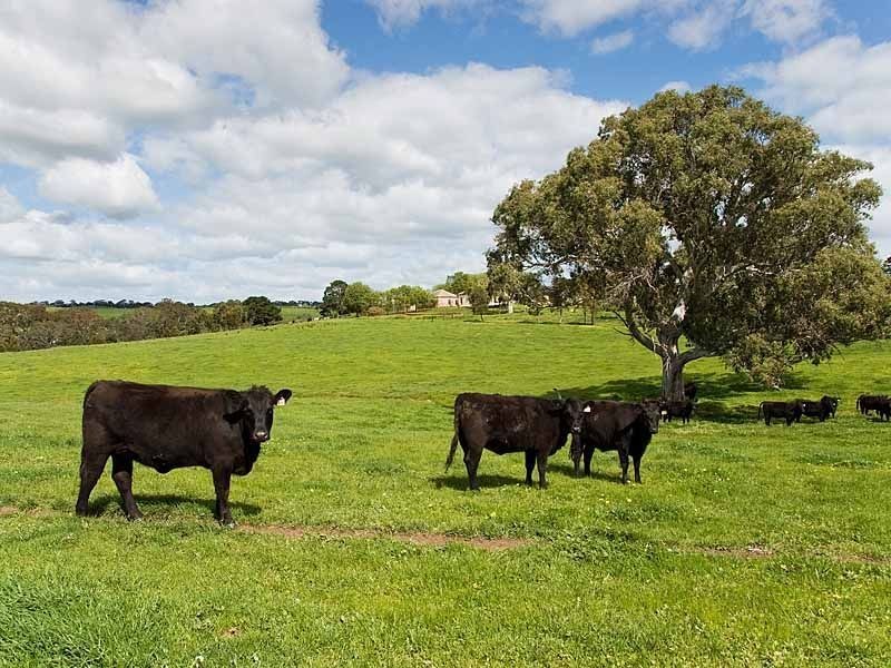 “Unalla” Wellington Road, Wistow SA 5251