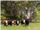 “Unalla” Wellington Road, Wistow SA 5251