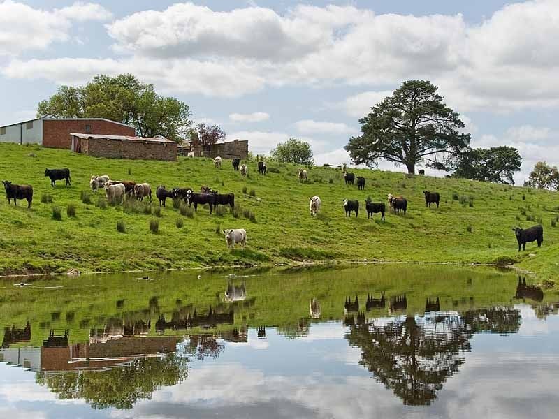 “Unalla” Wellington Road, Wistow SA 5251