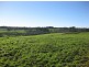 Lot 91 James Track & Lot 1 Coopers Road, Myponga SA 5202