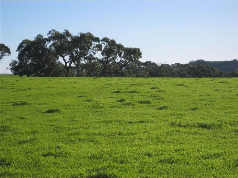 Lot 91 James Track & Lot 1 Coopers Road, Myponga SA 5202