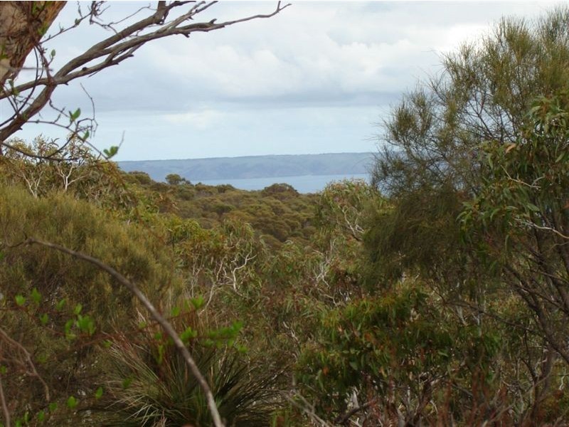 Sect 125 Woodroffe Road, Cape Jervis SA 5204