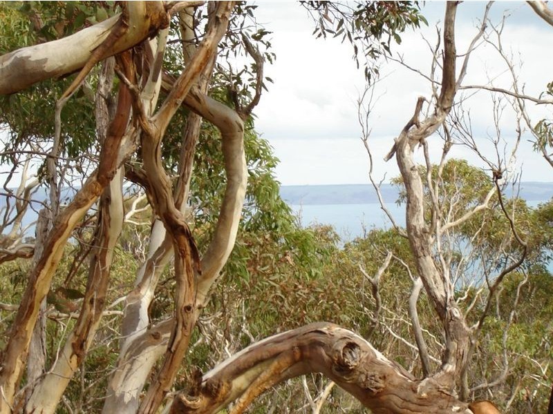 Sect 125 Woodroffe Road, Cape Jervis SA 5204