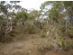 Sect 125 Woodroffe Road, Cape Jervis SA 5204
