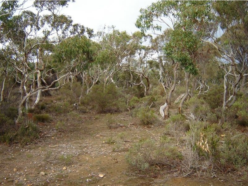 Sect 125 Woodroffe Road, Cape Jervis SA 5204