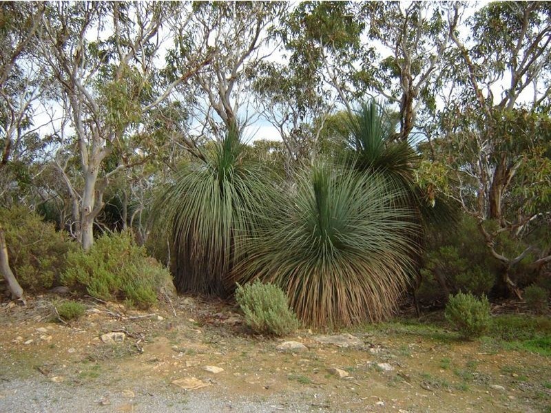 Sect 125 Woodroffe Road, Cape Jervis SA 5204