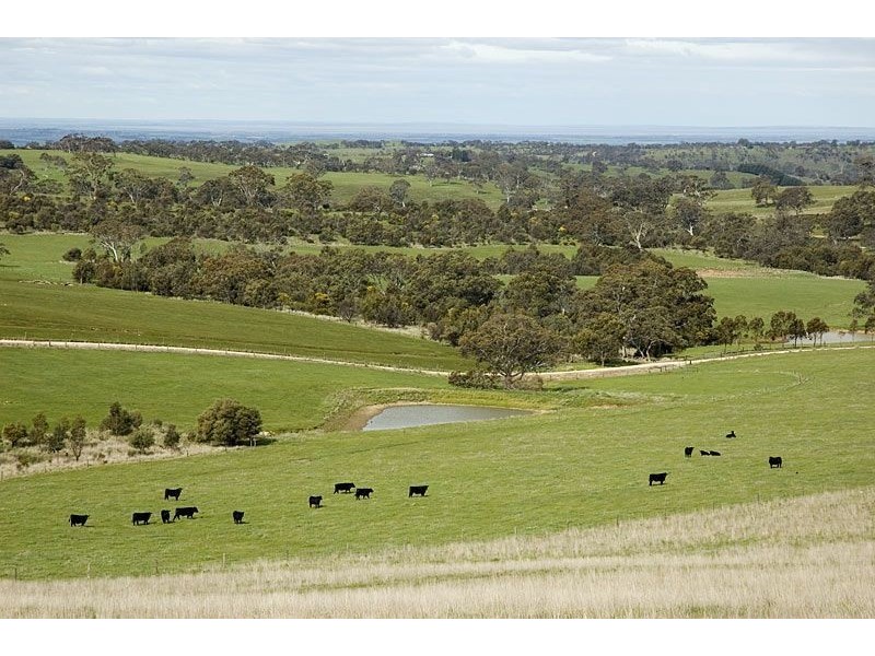 Sect 2874 Wellington Road, Wistow SA 5251