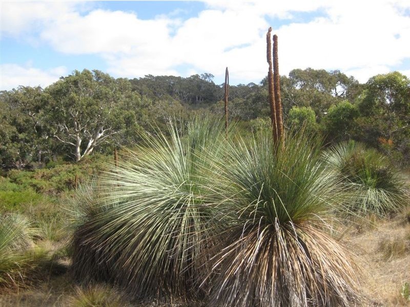 Sect 1 No Where Else Road, Delamere SA 5204