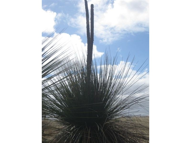 Sect 1 No Where Else Road, Delamere SA 5204