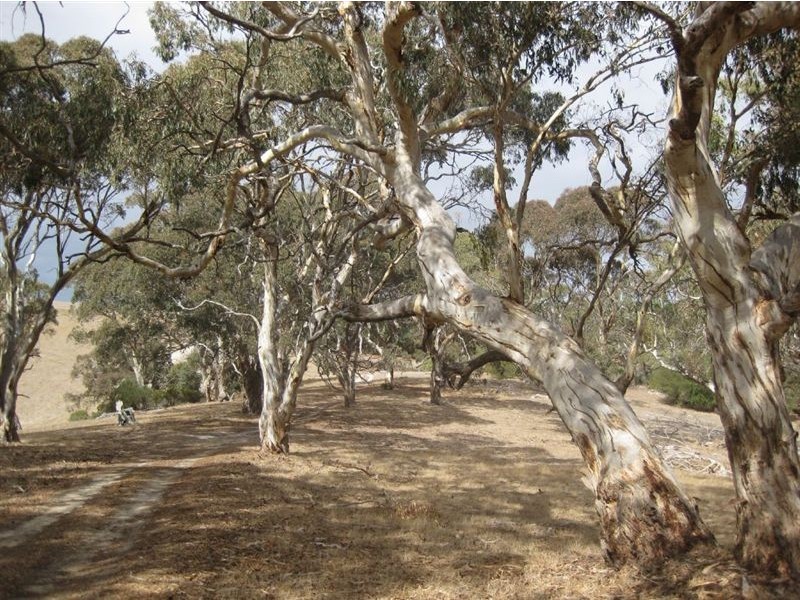 Sect 1461 No Where Else Road, Delamere SA 5204