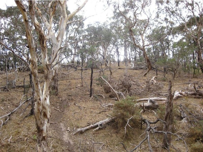 Sect 1461 No Where Else Road, Delamere SA 5204