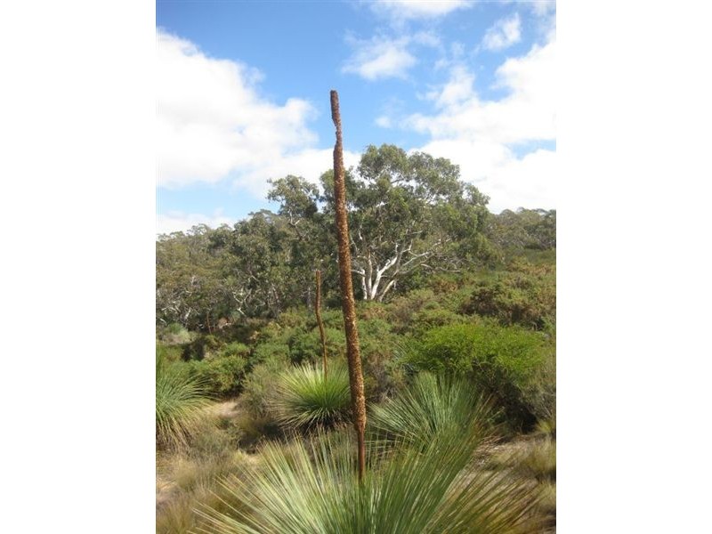 Sect 1 No Where Else Road, Delamere SA 5204