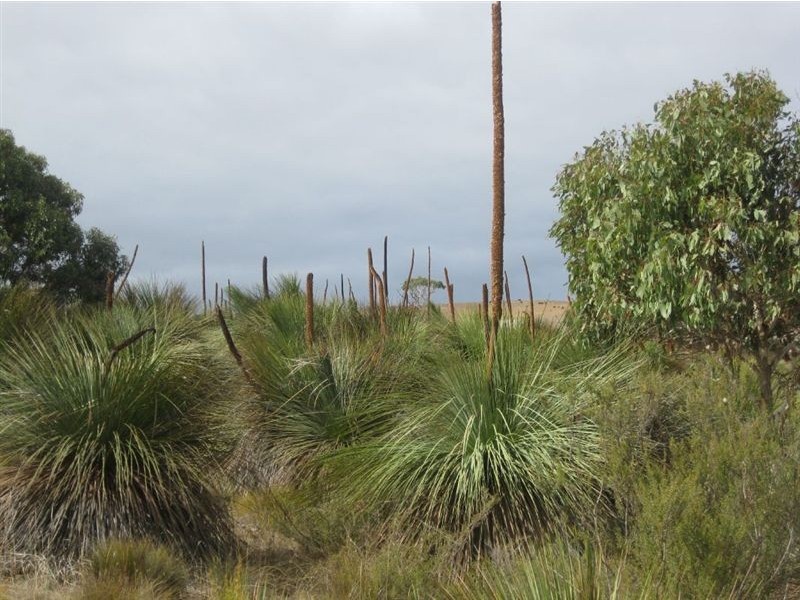 Sect 1 No Where Else Road, Delamere SA 5204