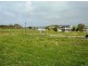 Lot 99 Union Road, Normanville SA 5204