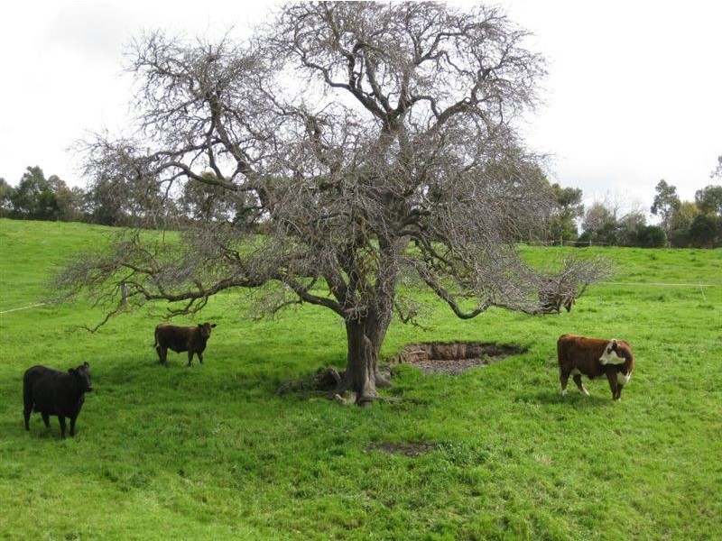 Lot 2 Hay Flat Road, Hay Flat SA 5204